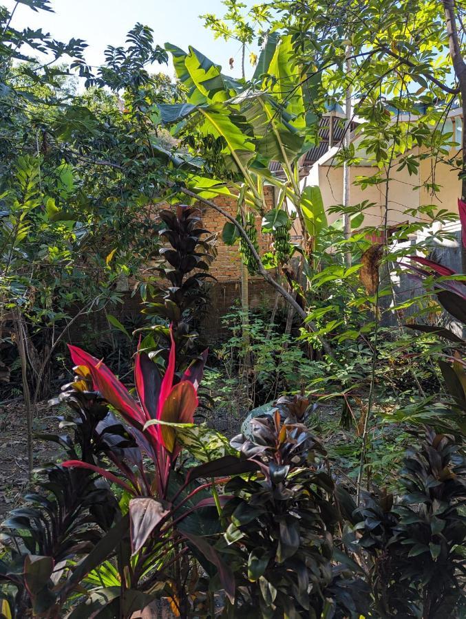Agus Family Homestay Labuan Bajo Eksteriør bilde